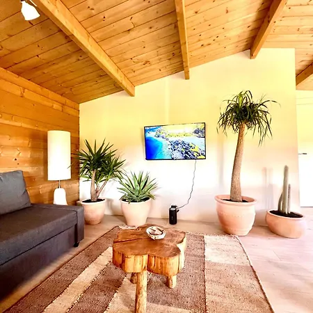 Mediterranean Style With Jacuzzi And Garden Near Amsterdam Holiday home *