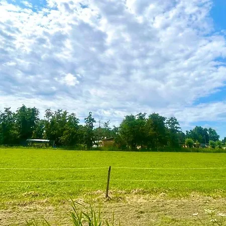 Mediterranean Style With Jacuzzi&garden Near Amsterdam