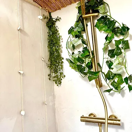 Mediterranean Style With Jacuzzi&garden Near Amsterdam