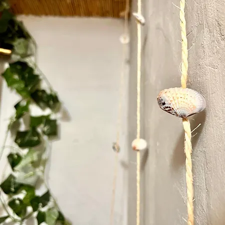 Mediterranean Style With Jacuzzi&garden Near Amsterdam