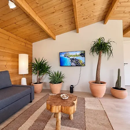 Mediterranean Style With Jacuzzi&garden Near Amsterdam Vijfhuizen