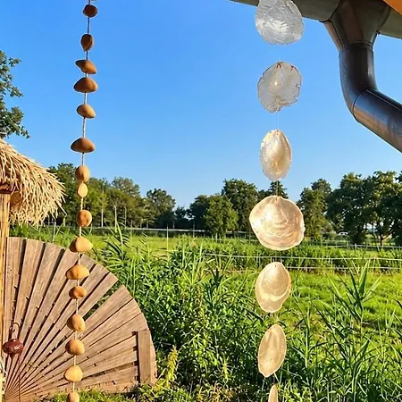 Vakantiehuis Mediterranean Style With Jacuzzi&garden Near Amsterdam Vijfhuizen