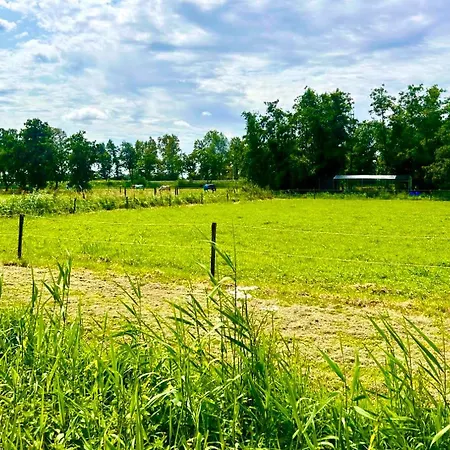 Mediterranean Style With Jacuzzi And Garden Near Amsterdam Σπίτι διακοπών *
